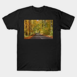 Autumn road T-Shirt